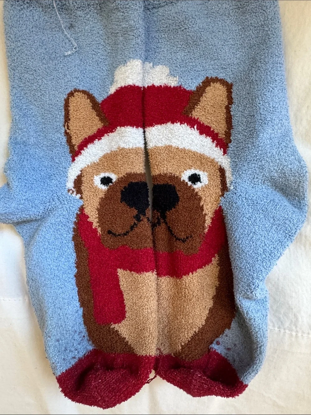Cozy Blue Holiday Dog Fuzzy Socks